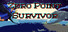 Zero Point Survivor