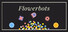 FlowerBots