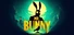 Mr. Bunny