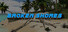 Broken Shores