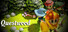 Questwood