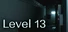 Level 13