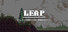 Leap by Franklin Burnett