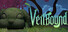 Veilbound