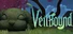 Veilbound