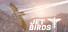 Jet Birds