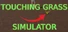 Touching Grass Simulator