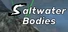Saltwater Bodies
