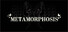 METAMORPHOSIS