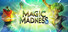 Magic Madness VR