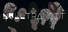 Null Transit