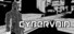 CYBERVOID