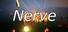 Nerve