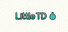 Маленький TD -Little TD-