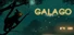 Galago