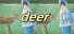 deer