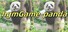 hgmGame-panda