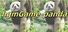 hgmGame-panda