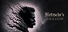 Nietzsche's Shadow