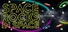 Space Rocks in Space