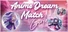 Anime Dream Match: Girls