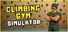 Climbing Gym Simulator