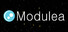 Modulea