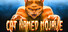 Cat Named Mojave