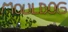 Mouldog