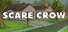 Scare Crow