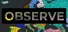 Observe