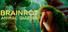 Brainrot: Animal Quizzes