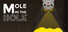 Mole In The Hole
