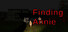 Finding Annie