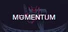Momentum