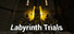 Labyrinth Survivor