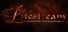 Lifestream - A Haunting Text Adventure