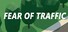 Fear Of Traffic