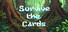 Survive The Cards