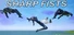 SHARP FISTS
