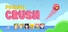 Pinball Crush
