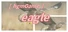 hgmGame-eagle