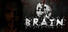 Brain