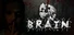 Brain