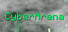 CyberArena