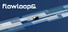 flowloop&