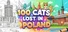 100 Cats Lost In Poland Find & Color