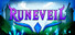 Runeveil