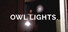 Owl Lights