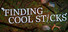 Finding Cool Sticks